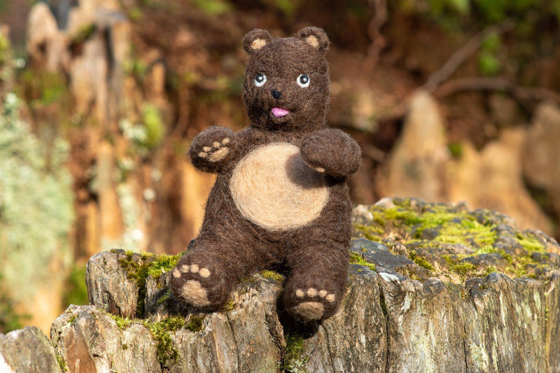 Teddy Bear Special Edition Needle Felting Kit - Intermediate-Needle Felting-WoolPets-Acorns & Twigs