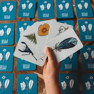 Your Wild Memory Card Game-Nature Activities-Your Wild Books-Acorns &amp; Twigs